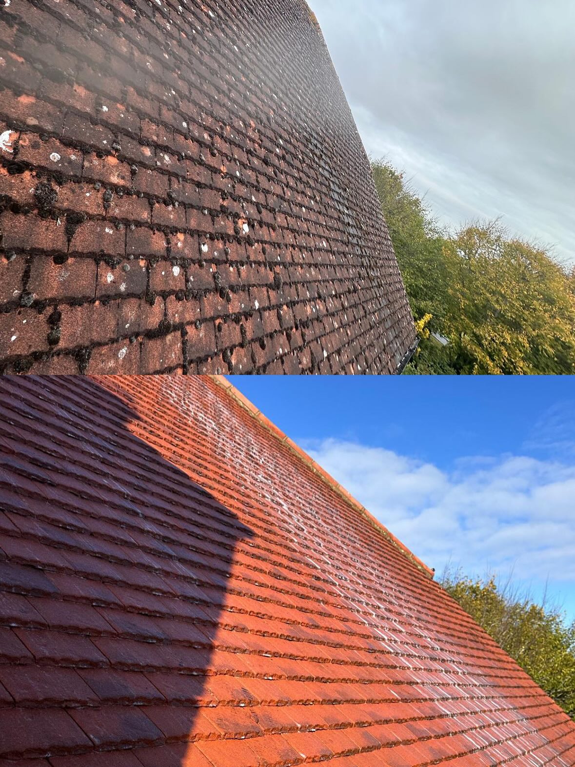 Render cleaning